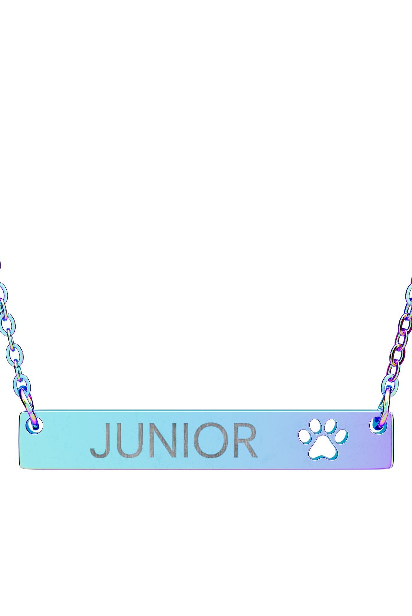 Personalized Dog Name Paw Print Bar Necklace Accessories The Cinchy Cowgirl - Print One Size Rainbow PVD coating