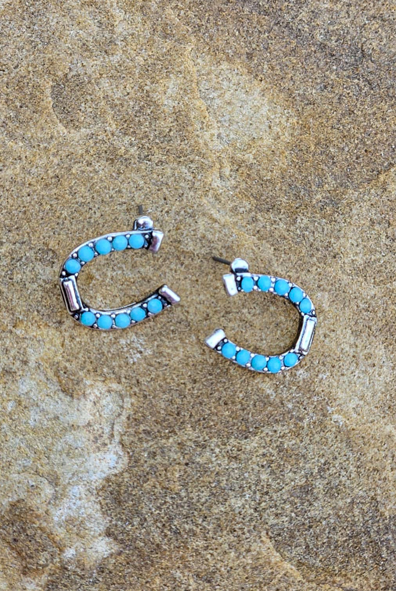 Horseshoe Stud Earrings Earrings Blue Tortoise