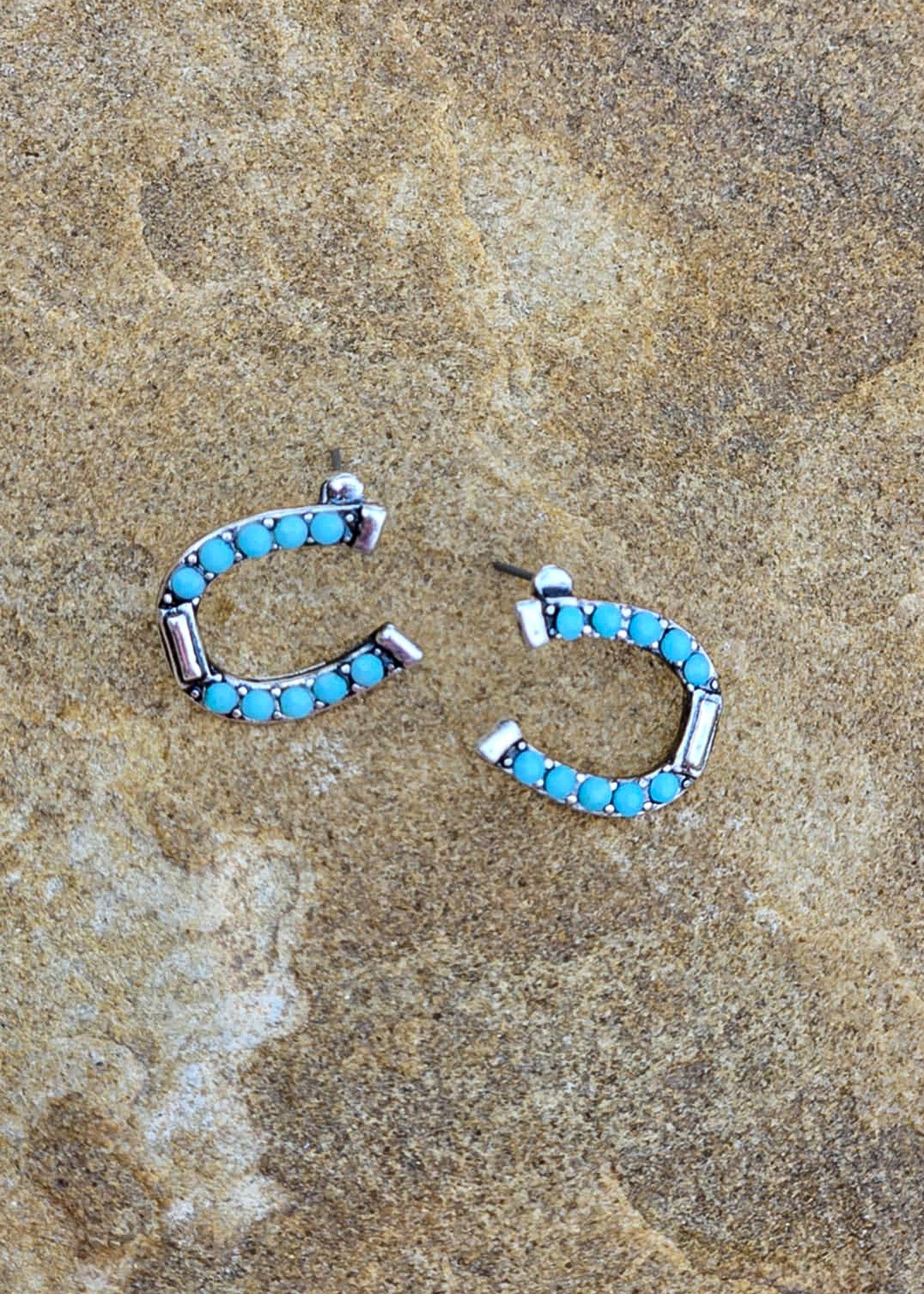 Horseshoe Stud Earrings Earrings Blue Tortoise