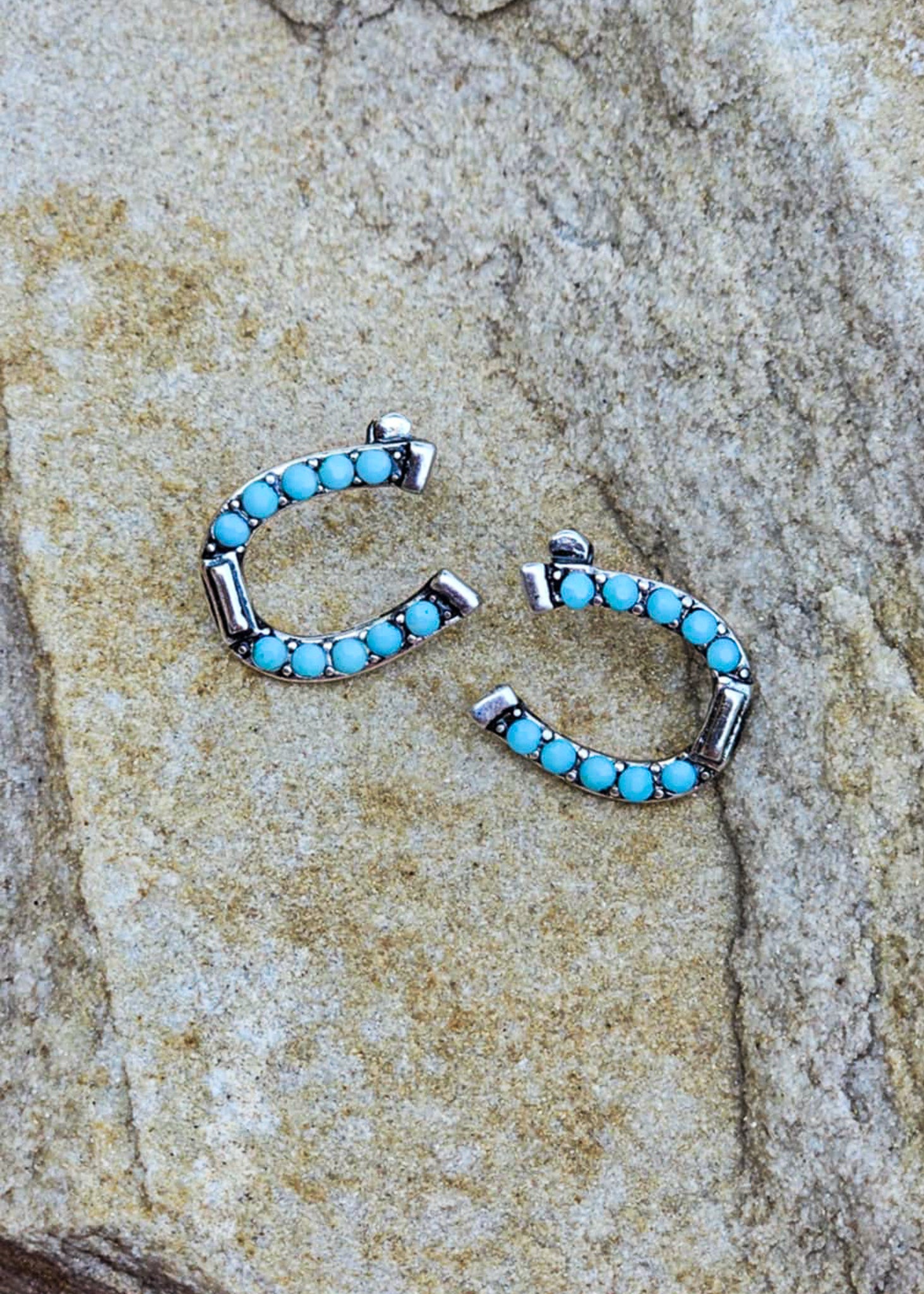 Horseshoe Stud Earrings Earrings Blue Tortoise