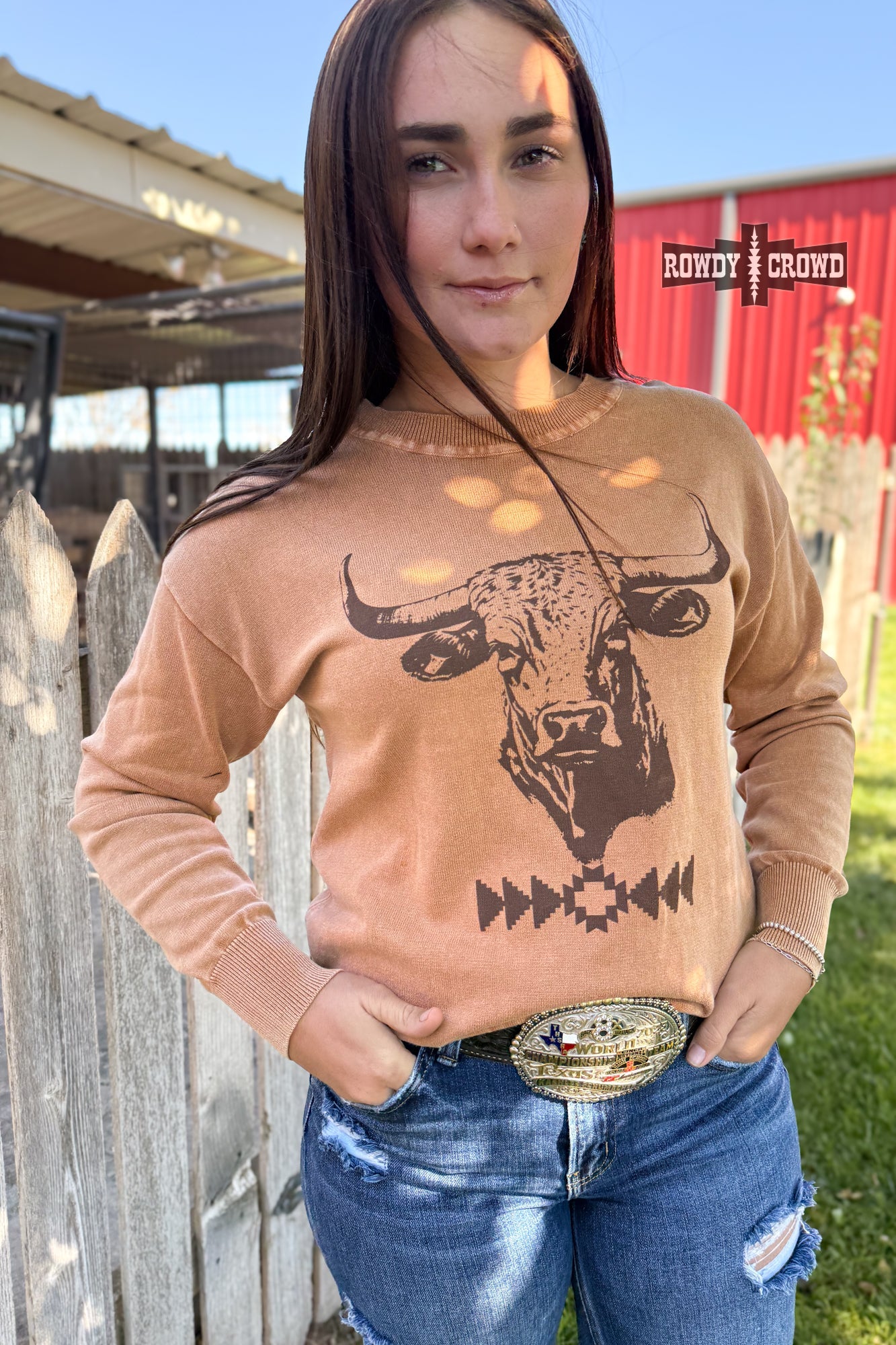 Blazin' Bull Sweater sweater Rowdy Crowd Clothing