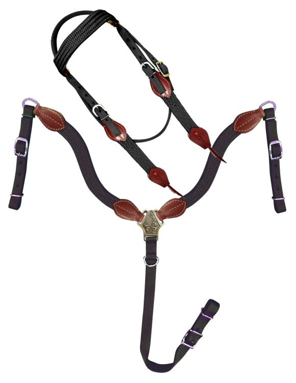 Nylon Colored with Leather Accented Headstall Sets headstall set Shiloh Black  