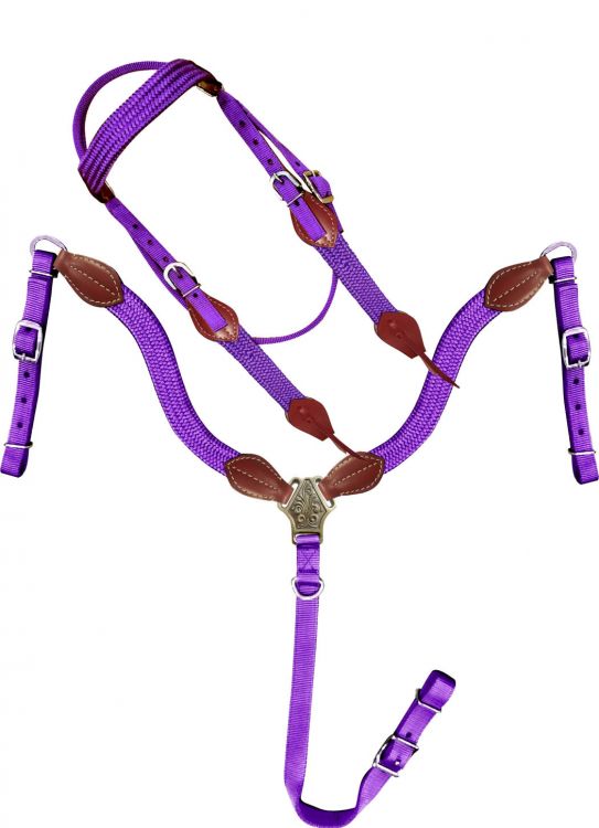 Nylon Colored with Leather Accented Headstall Sets headstall set Shiloh Purple  