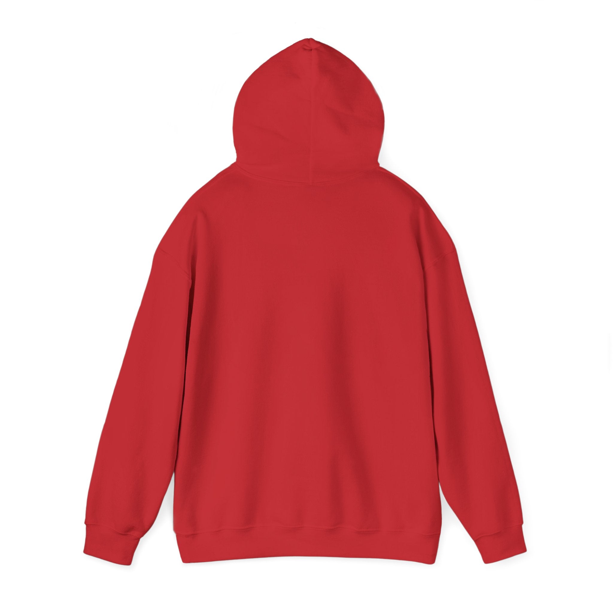 Motivated By Wine & Horses Hoodie Hoodie The Cinchy Cowgirl - Print