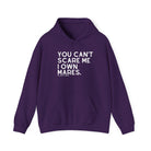 You Can't Scare Me I Own Mares Hoodie Hoodie The Cinchy Cowgirl - Print Purple S
