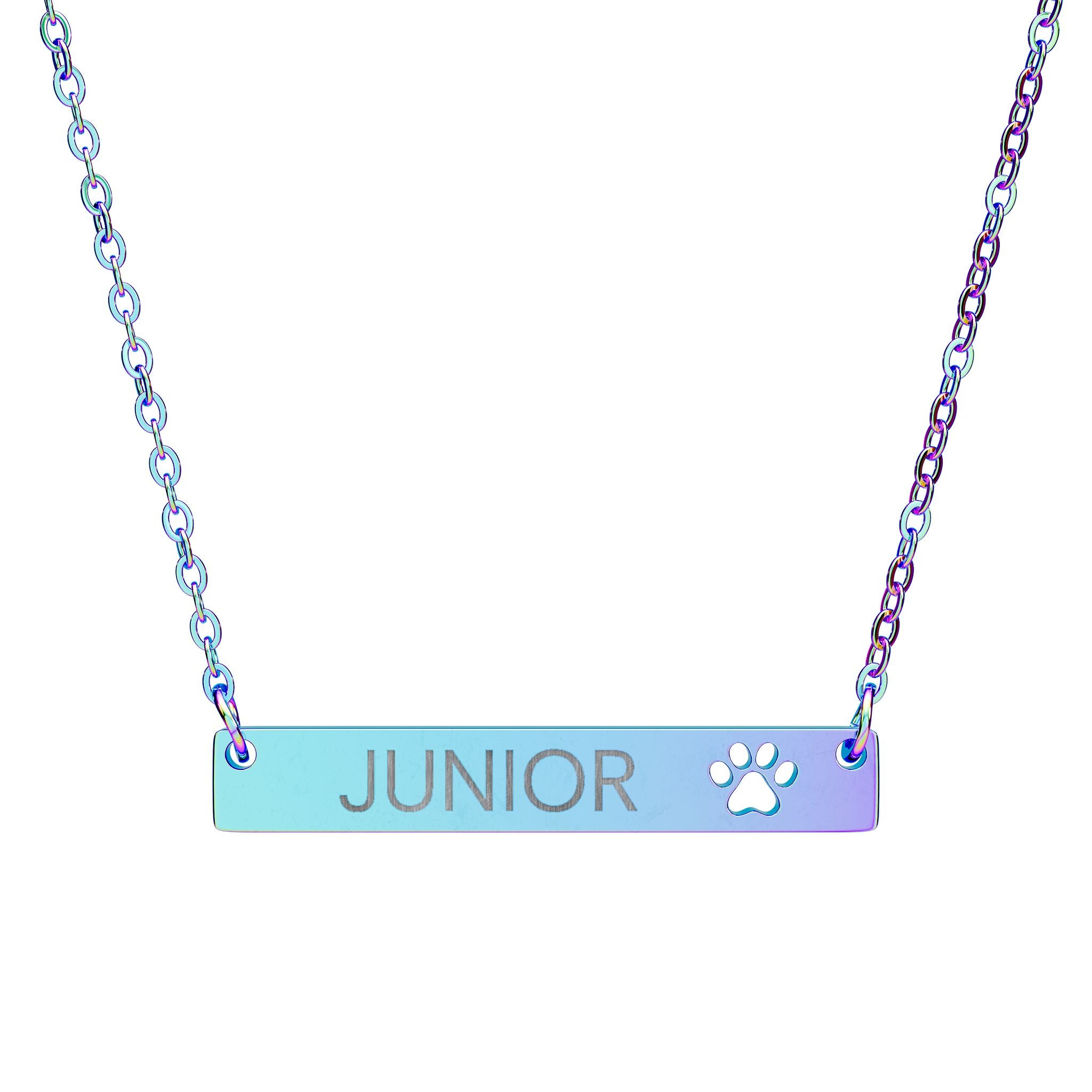 Personalized Dog Name Paw Print Bar Necklace Accessories The Cinchy Cowgirl - Print One Size Rainbow PVD coating