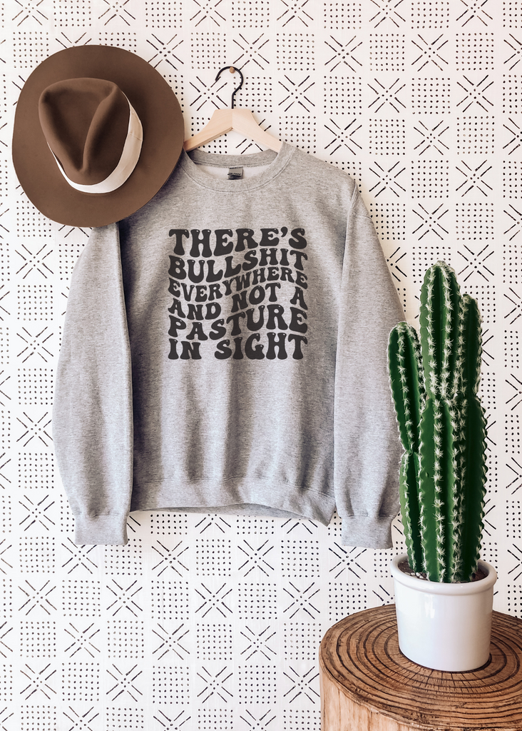 Gray There's BS Everywhere Crewneck Sweatshirt Pullover The Cinchy Cowgirl   