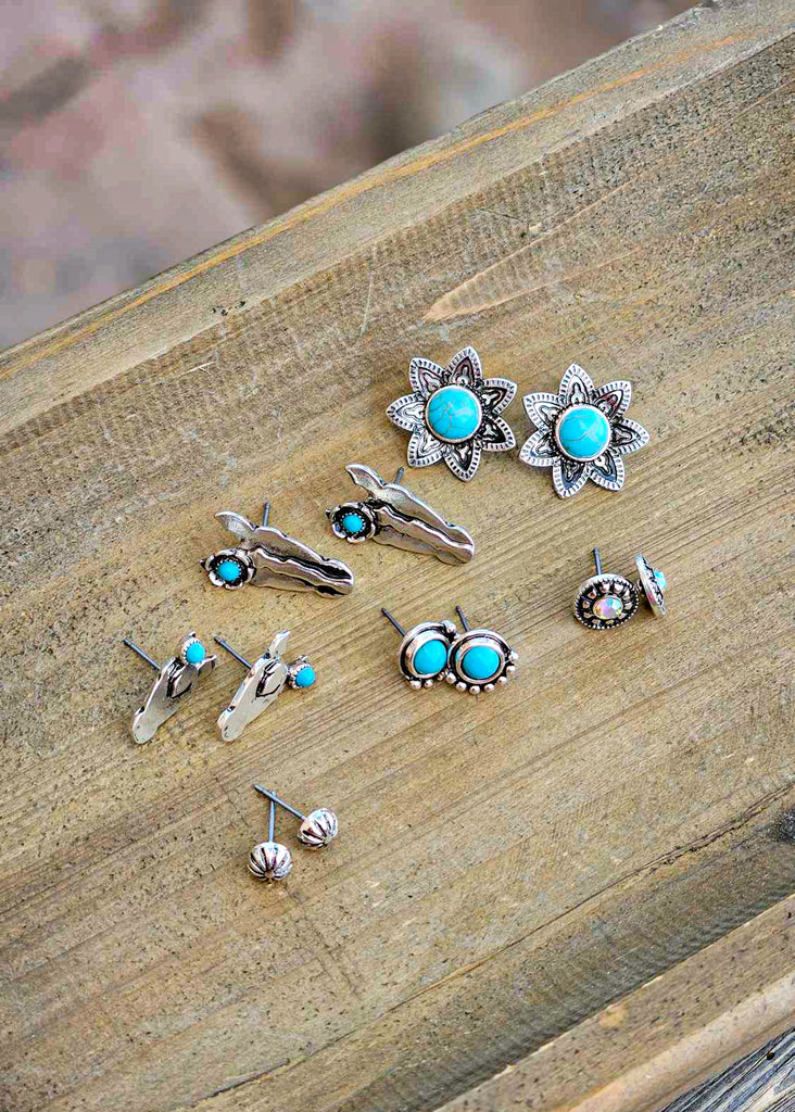 6 Pair Western Design Stud Horse Earring Set Earrings Blue Tortoise