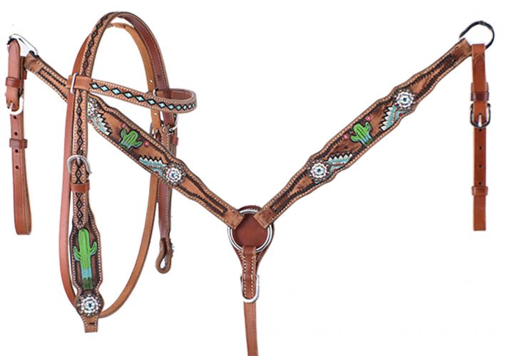 PONY Painted Cactus Headstall Set