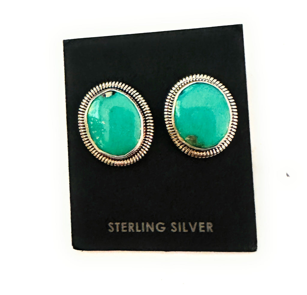 Twisted in Stone Post Earrings NT jewelry Nizhoni Traders LLC   