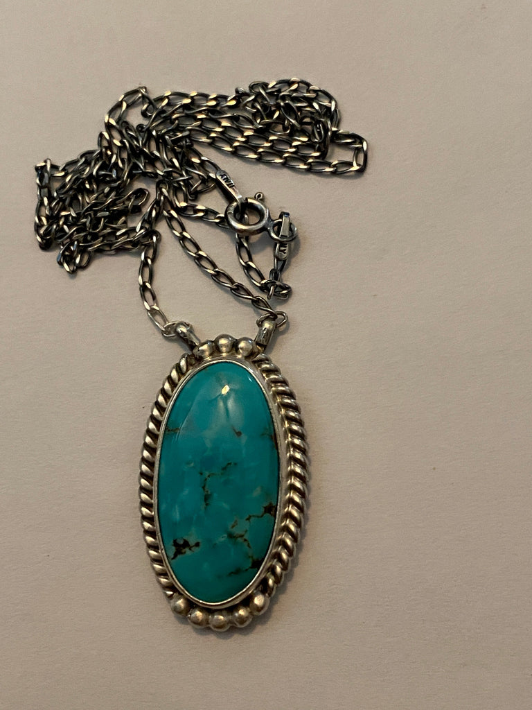 Southwestern Lake Necklace NT jewelry Nizhoni Traders LLC   