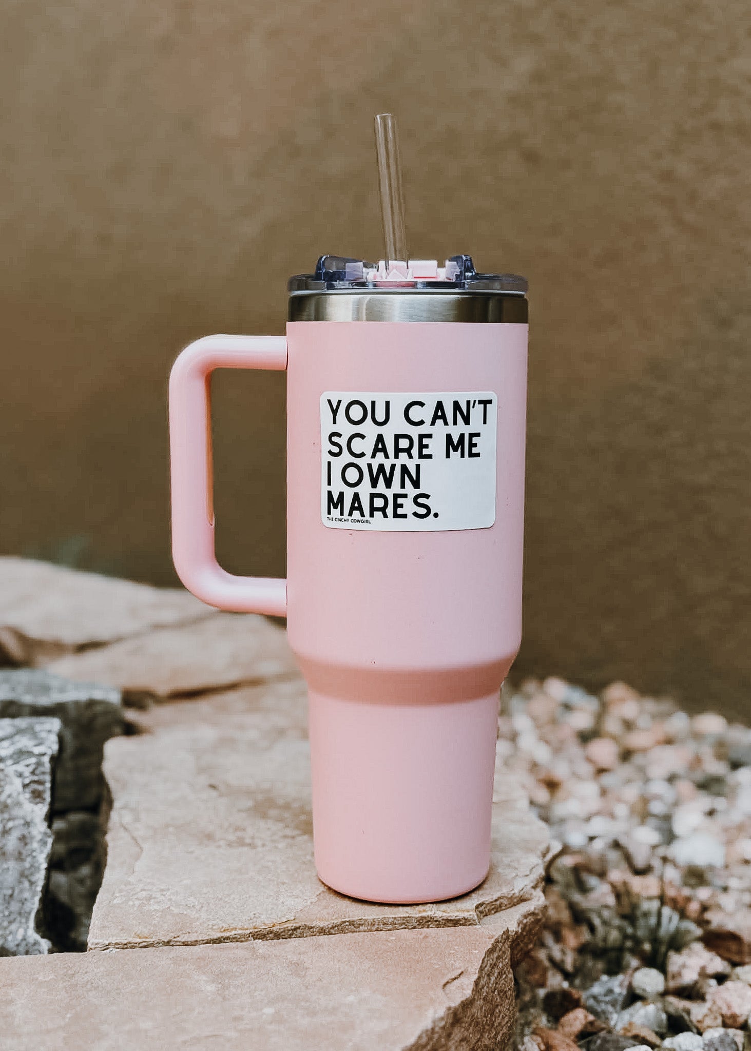 You Can't Scare Me I Own Mares Sticker Sticker The Cinchy Cowgirl