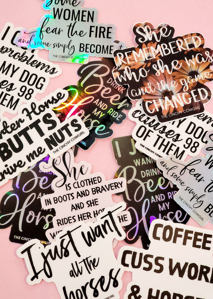 Sticker Lot [Set of assorted 5] stickers The Cinchy Cowgirl   