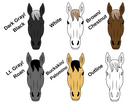PERSONALIZED Horse Name Color Horse Head Tee Personalized Horse Head Tee The Cinchy Cowgirl   