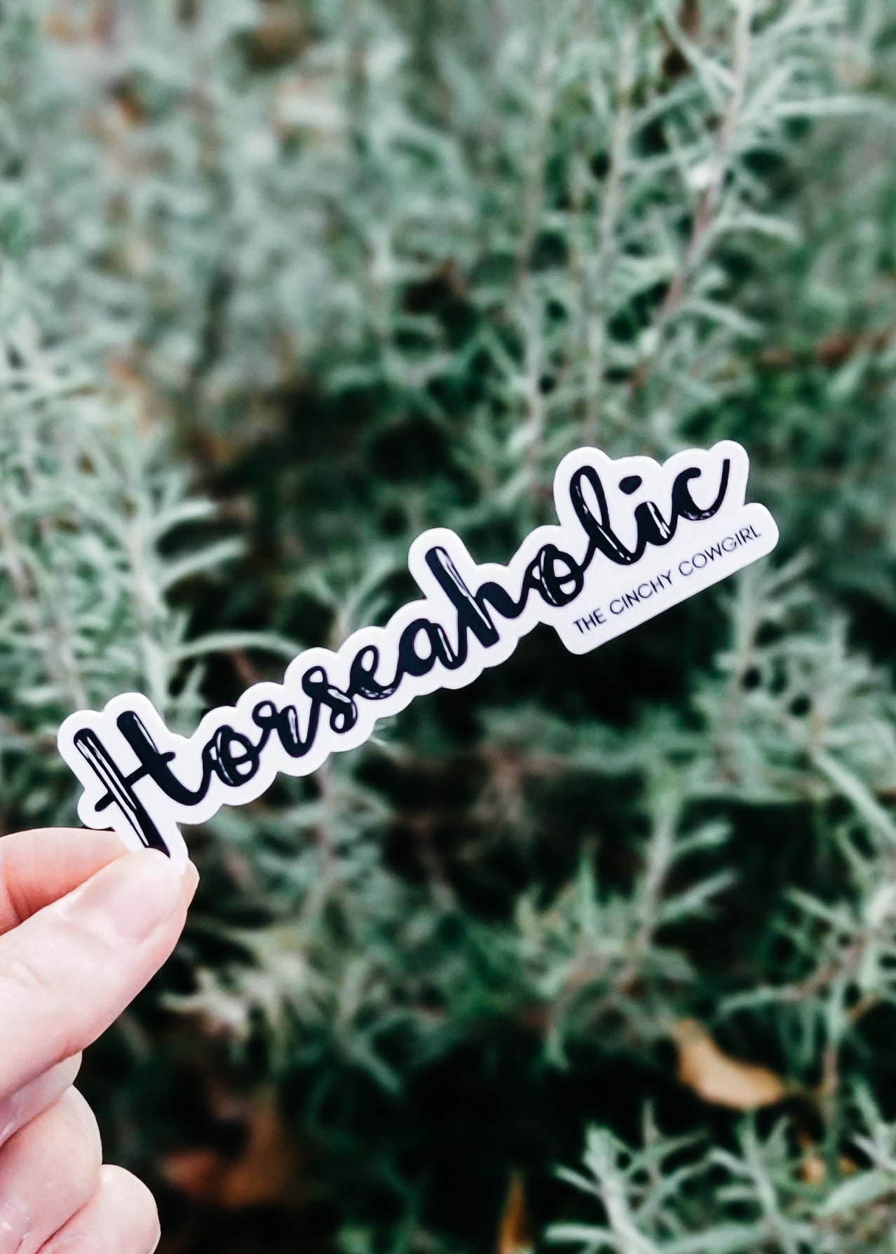 Horseaholic Sticker stickers The Cinchy Cowgirl   